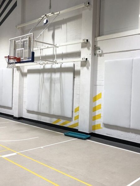 D-panel sport in turnzaal bij basketbalring